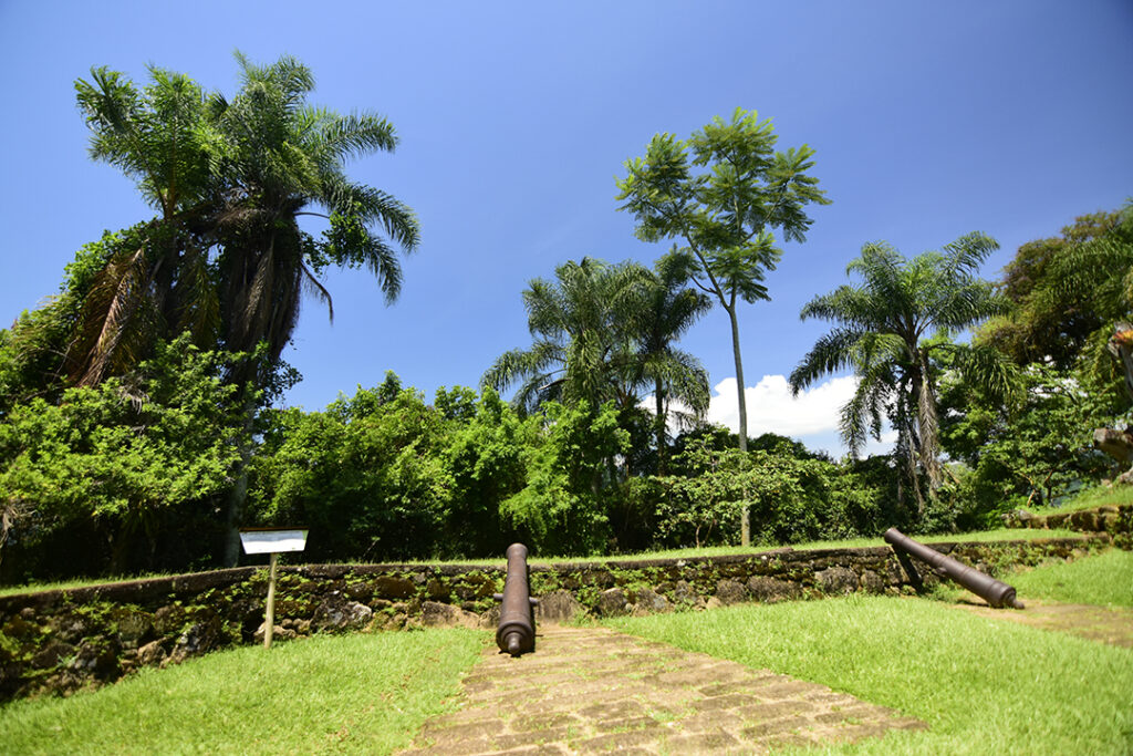 forte do defensor perpétuo