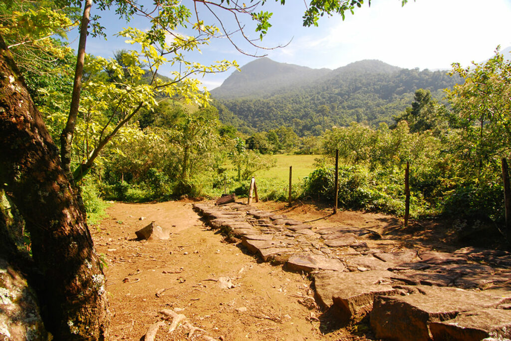 Estrada real: O caminho novo