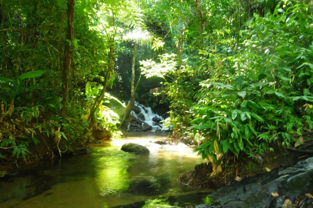 Cachoeiras de Paraty