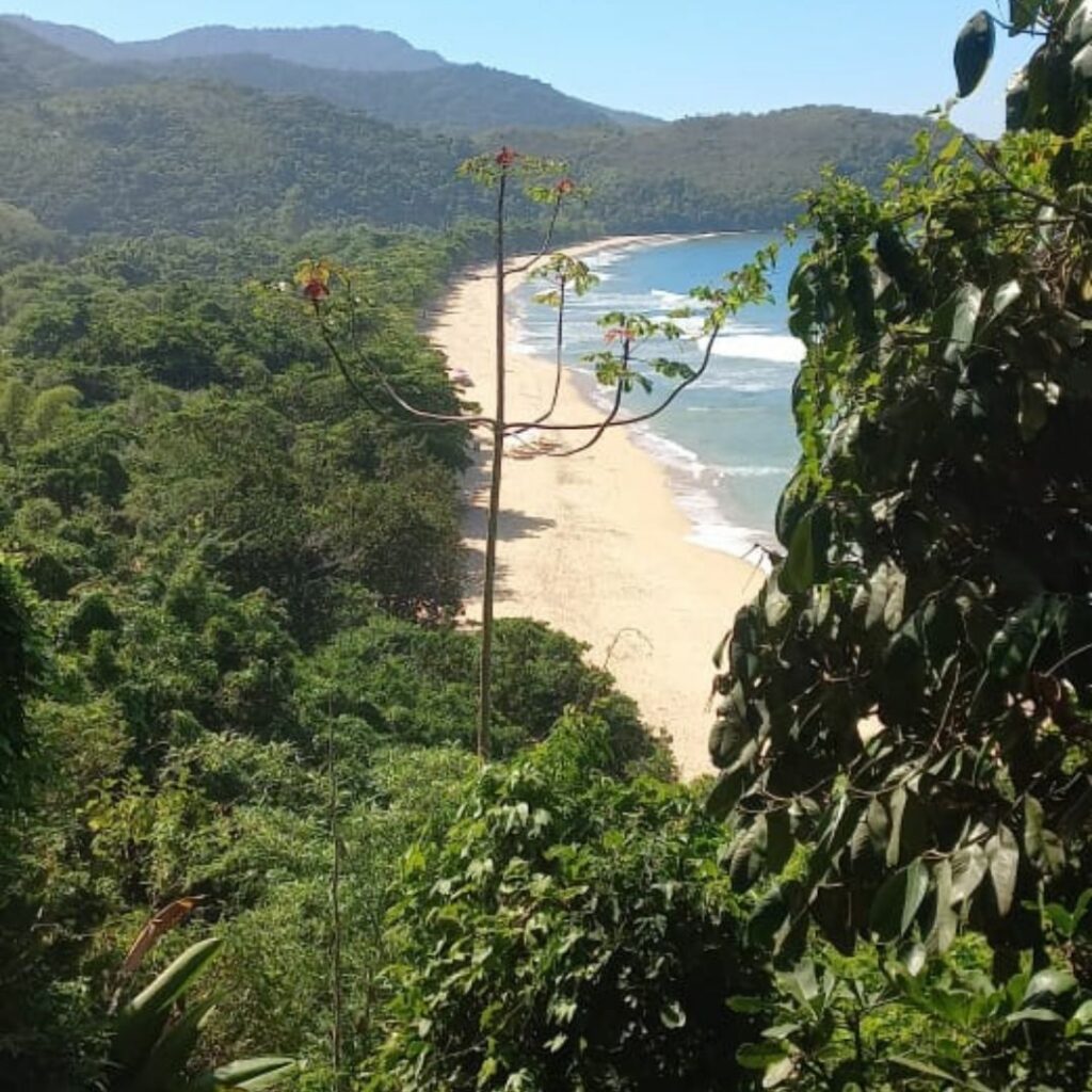 Mapa do Paraíso Praia do sono Paraty